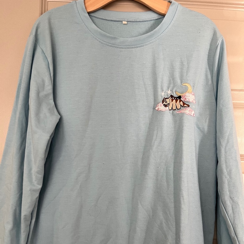 Avatar/Appa sweatshirt